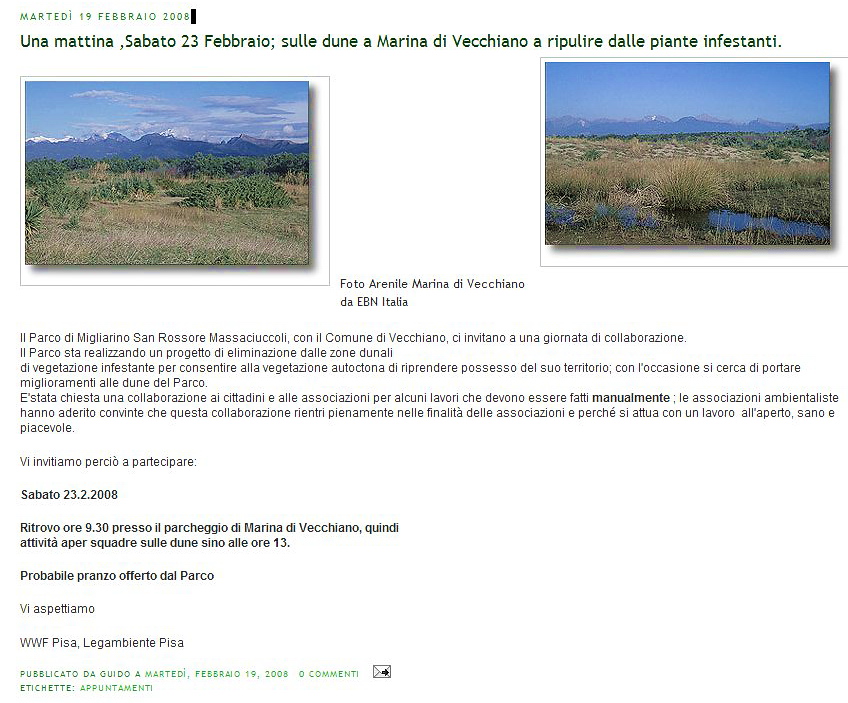 Cercando la foce del Serchio
